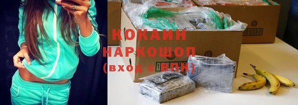 дживик Белокуриха