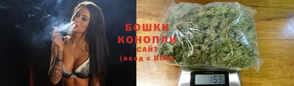 дживик Белокуриха