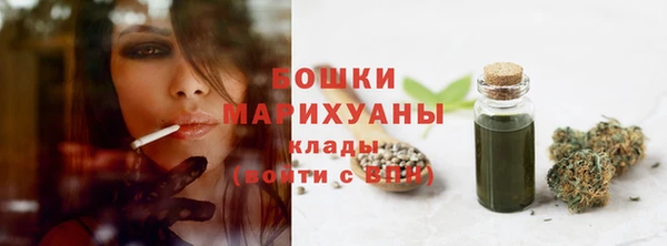 дживик Белокуриха