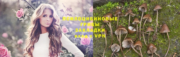 дживик Белокуриха