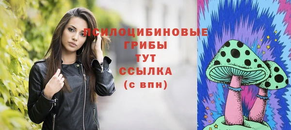дживик Белокуриха