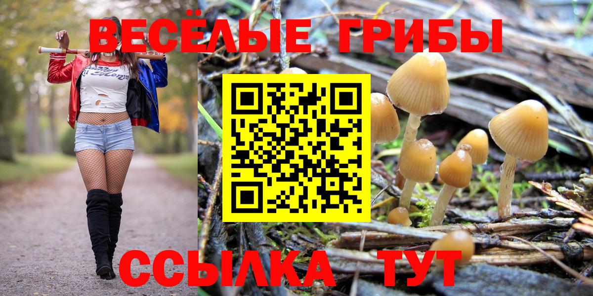 Псилоцибиновые грибы Magic Shrooms Гулькевичи