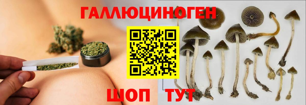 закладки  Вход с VPN  Гулькевичи  Псилоцибиновые грибы прущие грибы 